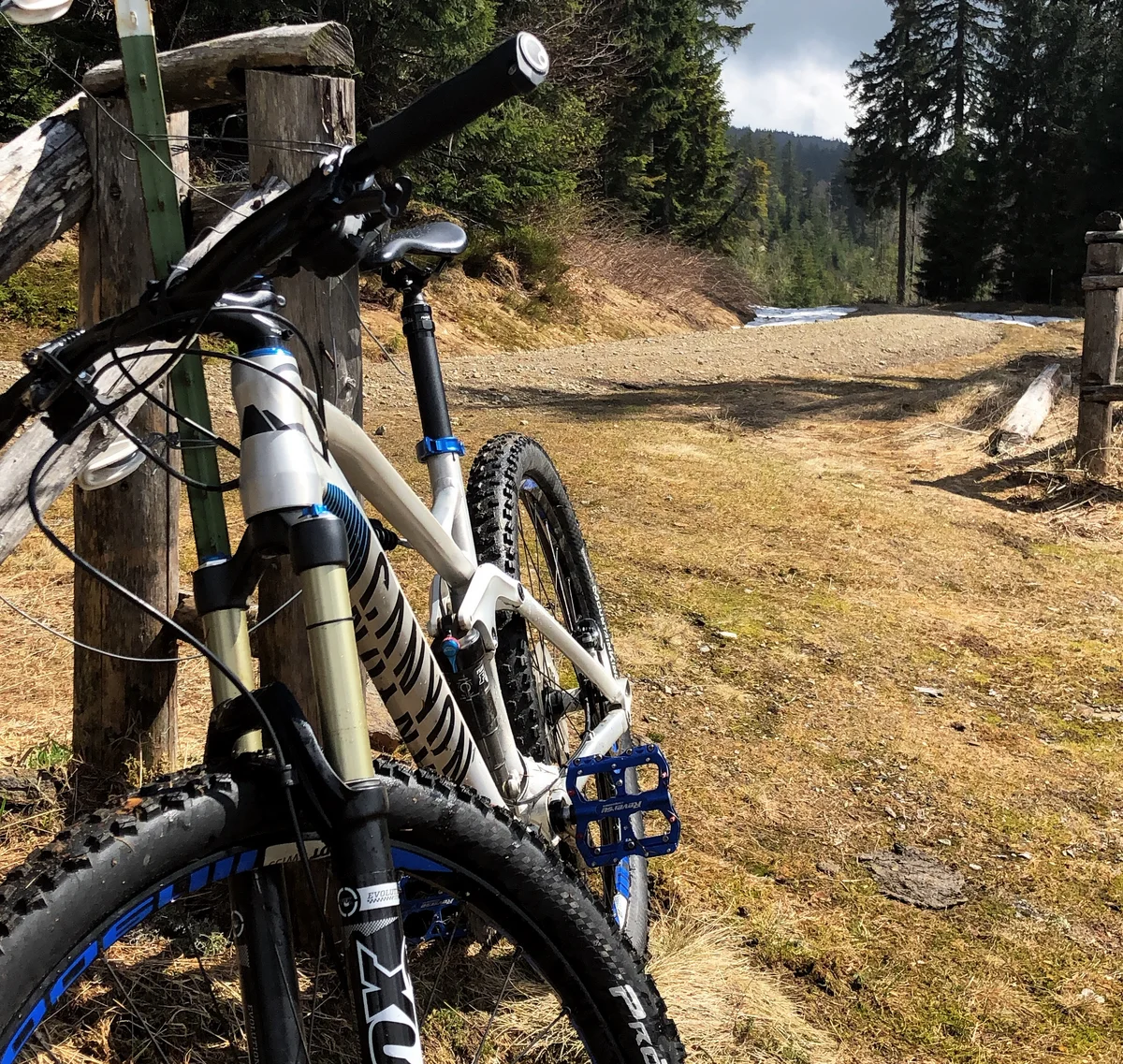 Cubea | Aktivurlaub in Bodenmais, der potenziert Mountainbike lehnt an Holzzaun auf Waldweg mit Nadelbäumen