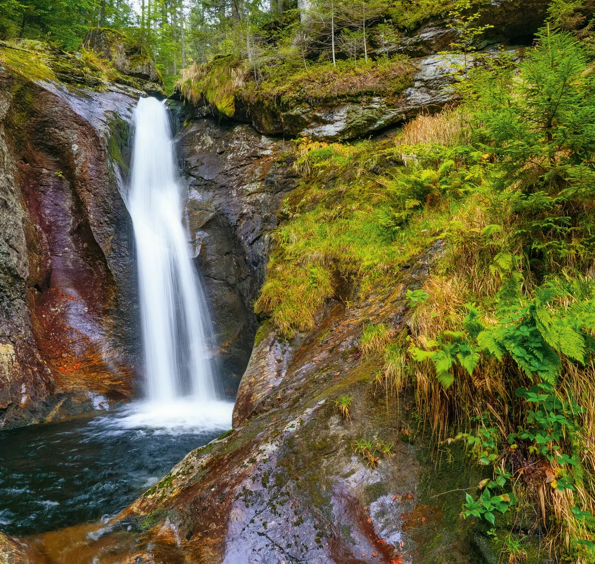Wasserfall in einem bewaldeten, felsigen Tal mit grünem Moos und Farnen