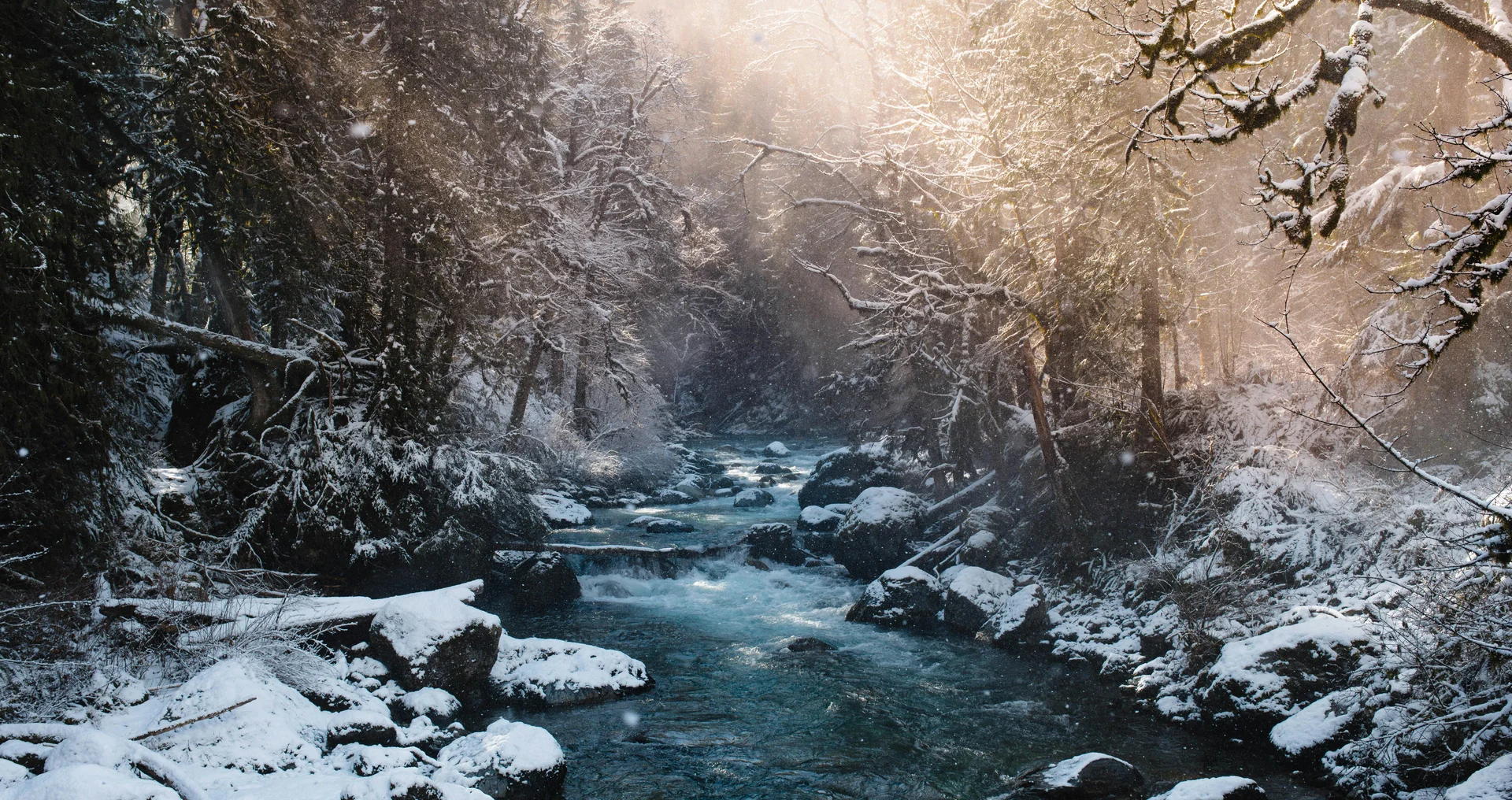 Schneebedeckter Fluss fließt durch winterlichen Wald im Morgenlicht