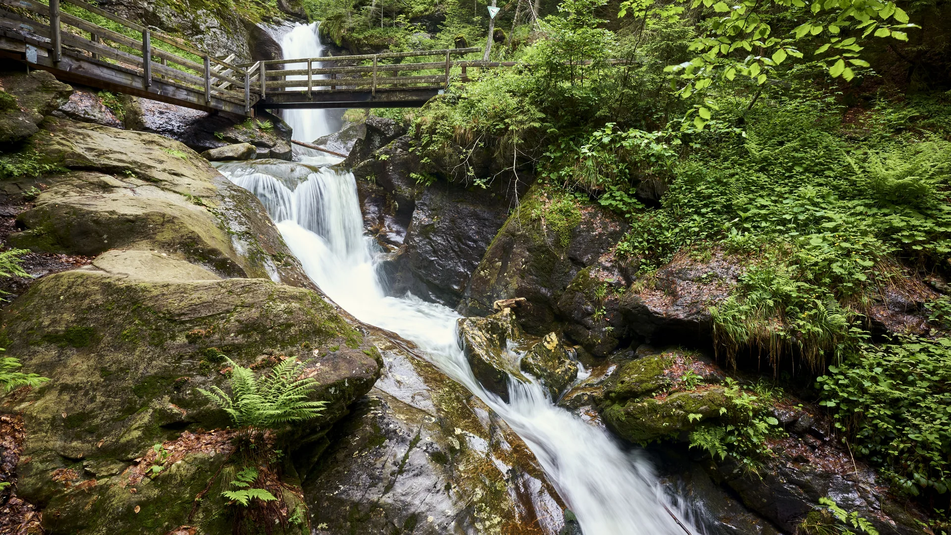 Cubea | Urlaub³ im Bayerischen Wald Wasserfall mit Holzbrücke und grüner Waldlandschaft