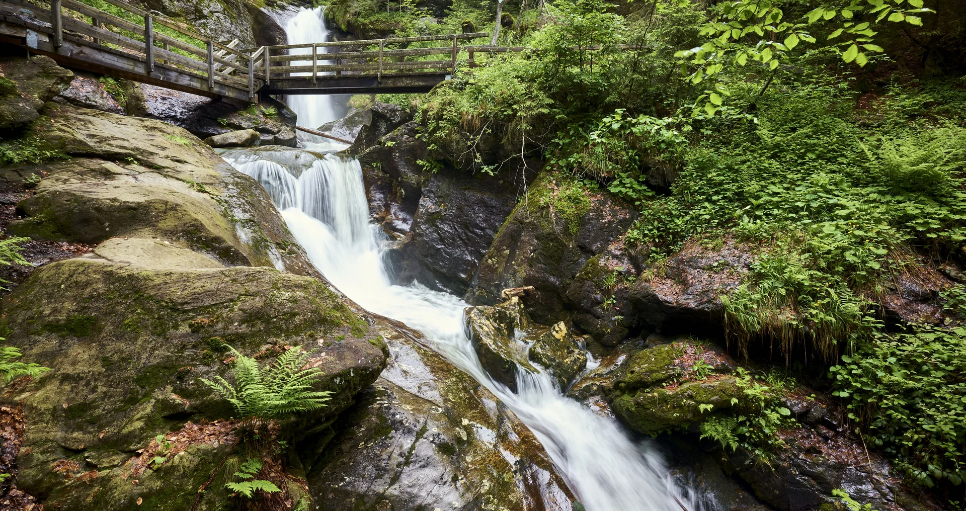 Wasserfall mit Holzbrücke und grüner Waldlandschaft