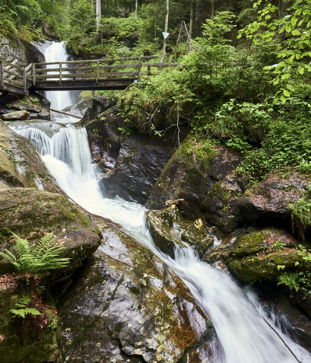 Wasserfall mit Holzbrücke und grüner Waldlandschaft