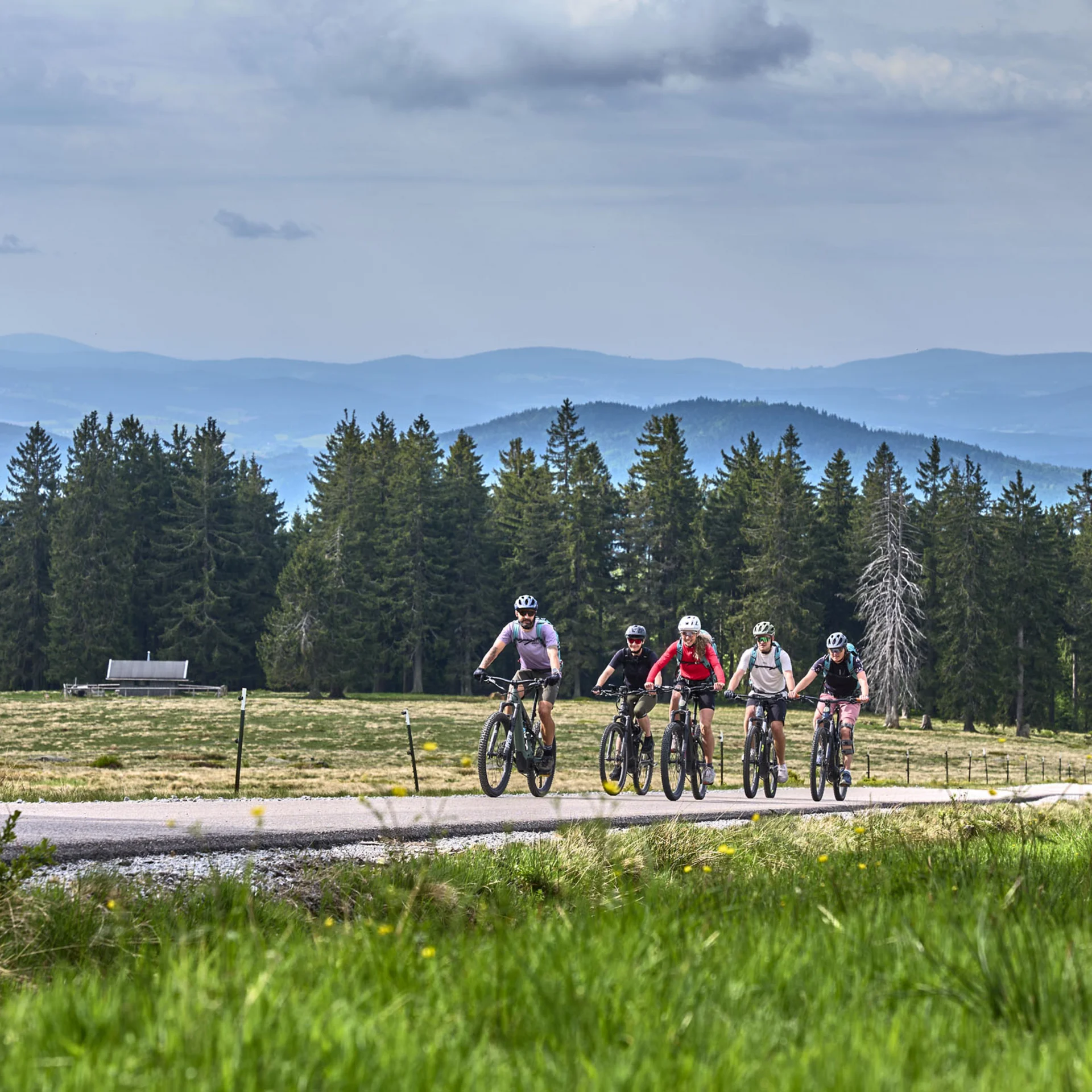 Fünf Radfahrer fahren auf einer Straße vor einem Wald und Bergen