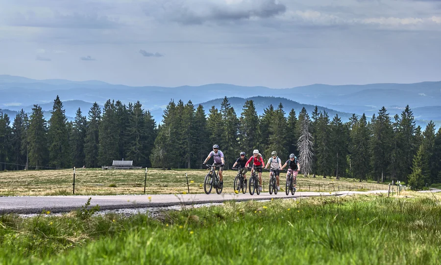 Fünf Radfahrer fahren auf einer Straße vor einem Wald und Bergen
