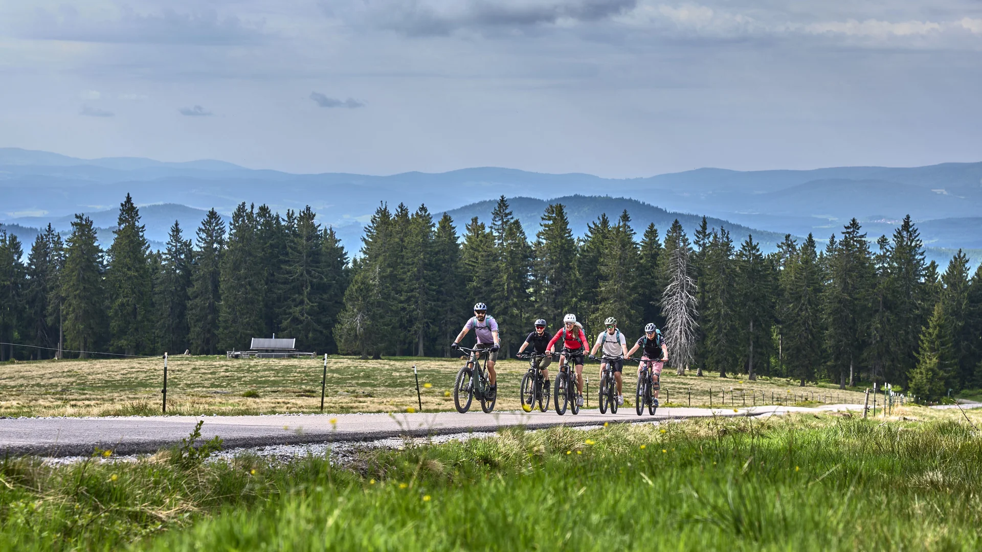 Cubea | Aktivurlaub in Bodenmais, der potenziert Fünf Radfahrer fahren auf einer Straße vor einem Wald und Bergen