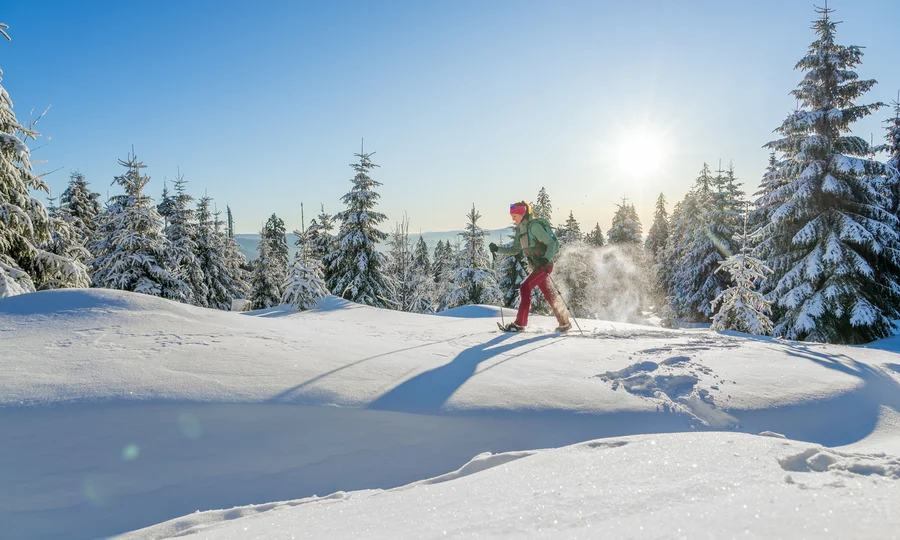 Cubea | Aktivurlaub in Bodenmais, der potenziert Person beim Schneeschuhwandern in verschneiter Winterlandschaft mit Sonnenlicht