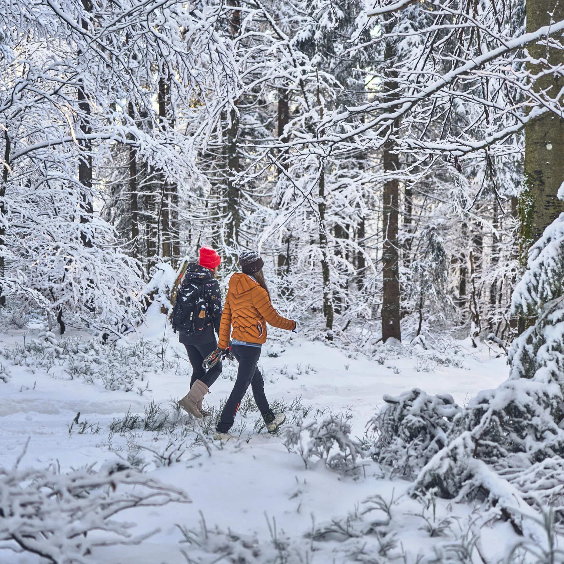 Zwei Personen wandern durch verschneiten Wald im Winter