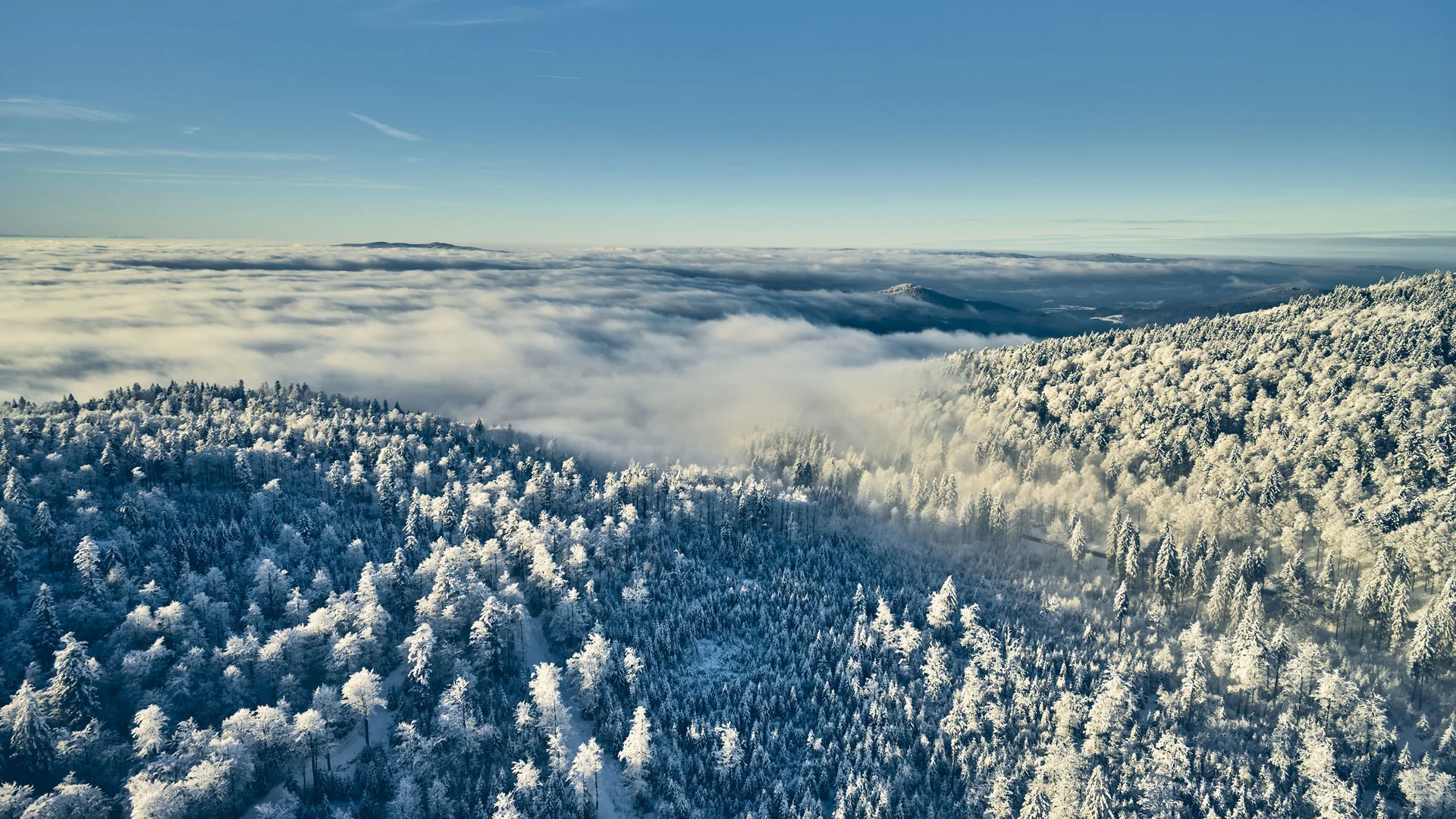 Cubea | Urlaub³ im Bayerischen Wald Verschneite Waldlandschaft unter blauem Himmel mit Nebel im Tal