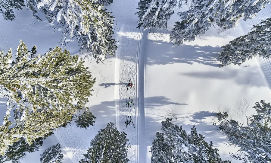 Cubea | Aktivurlaub in Bodenmais, der potenziert Drei Langläufer auf verschneiter Spur umgeben von schneebedeckten Bäumen