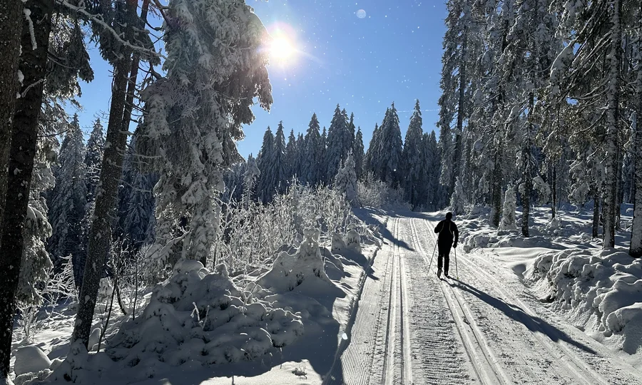Cubea | Aktivurlaub in Bodenmais, der potenziert Person beim Langlaufen auf verschneiter Waldpiste bei sonnigem Himmel