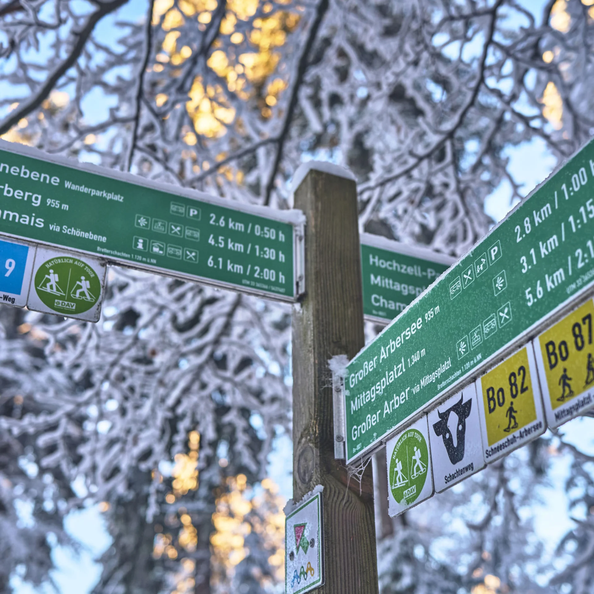 Wegweiser mit Entfernungen und Wanderzeiten vor verschneiten Bäumen