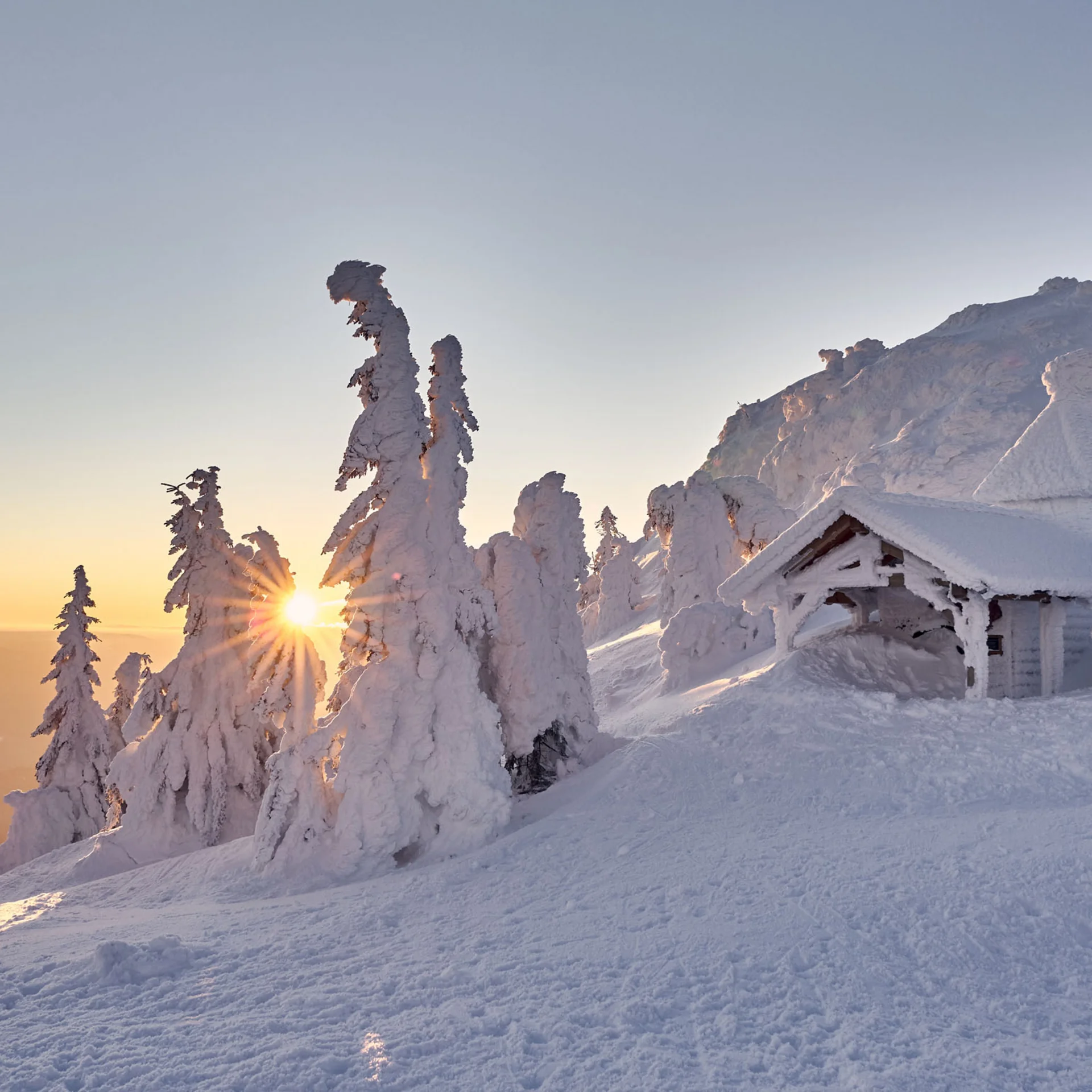 Schneebedeckte Bäume und Hütte bei Sonnenaufgang in winterlicher Berglandschaft