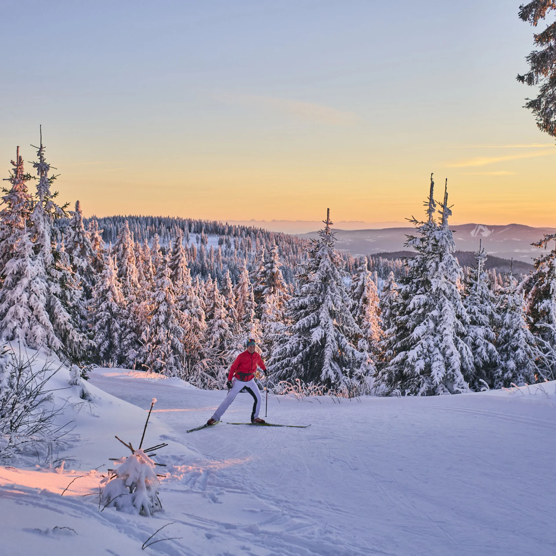 Langläufer in roter Jacke auf verschneiter Winterlandschaft bei Sonnenuntergang