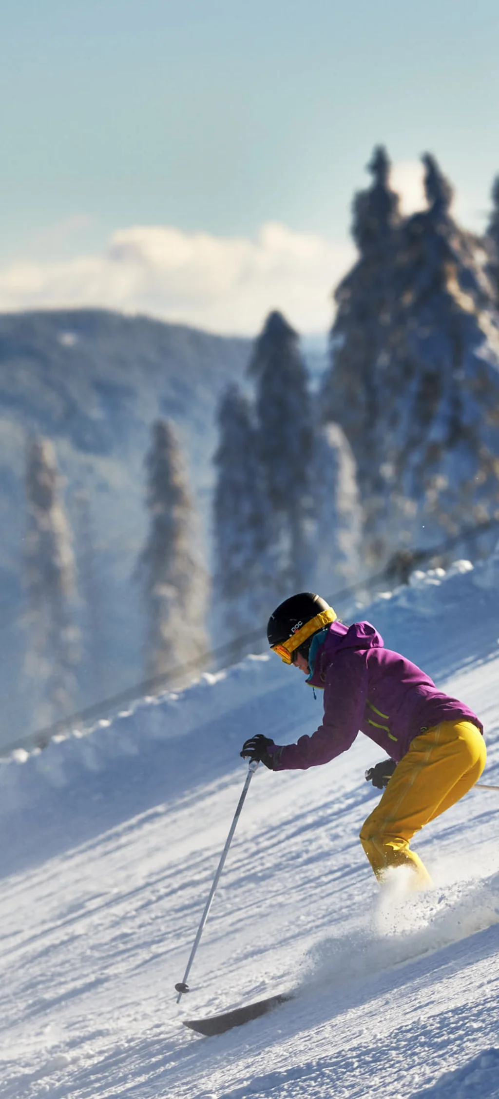 Skifahrer in gelber Hose und lila Jacke auf schneebedecktem Hang