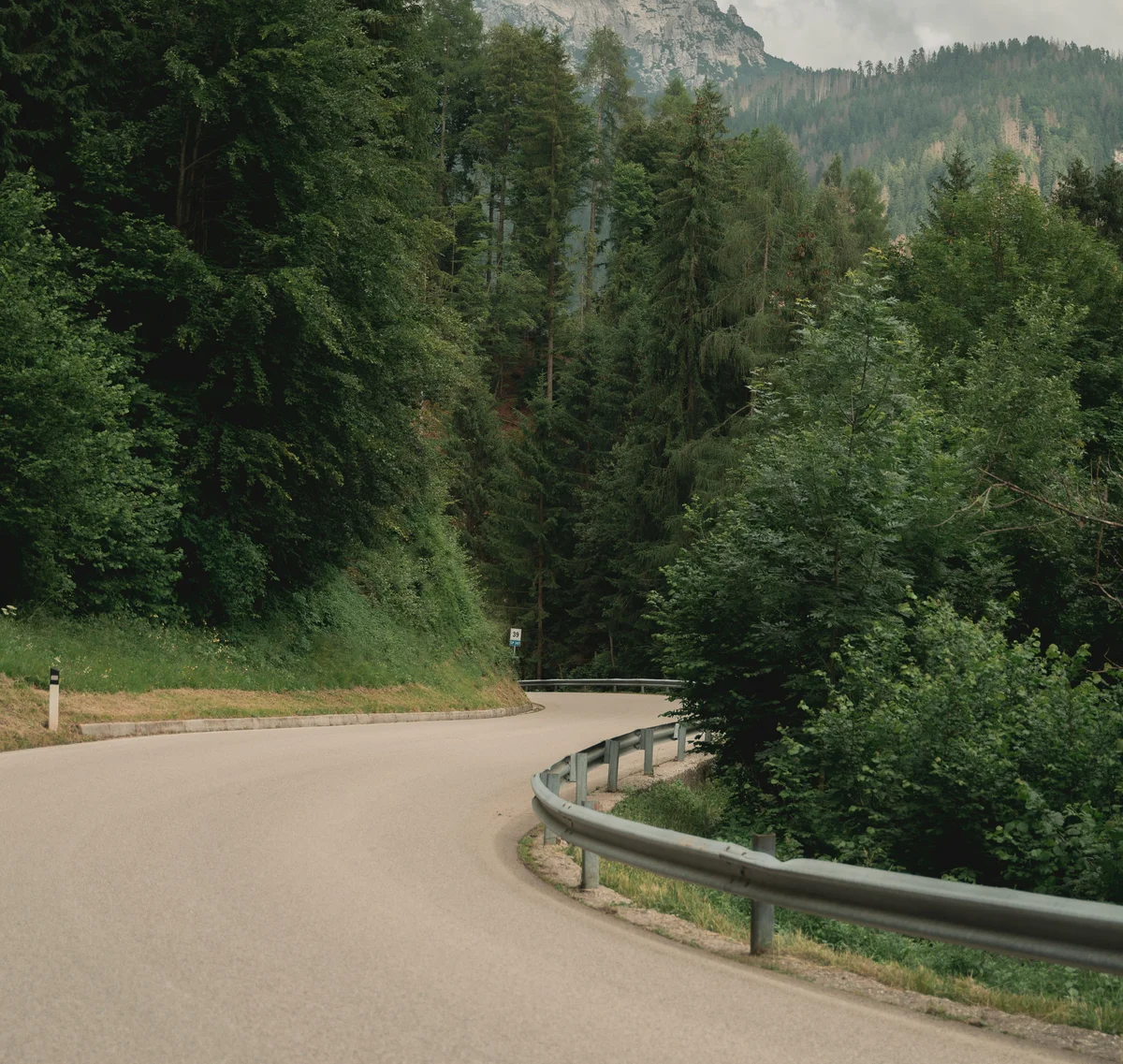 Cubea | Aktivurlaub in Bodenmais, der potenziert Kurvige Straße durch dichten grünen Wald mit Bergen im Hintergrund