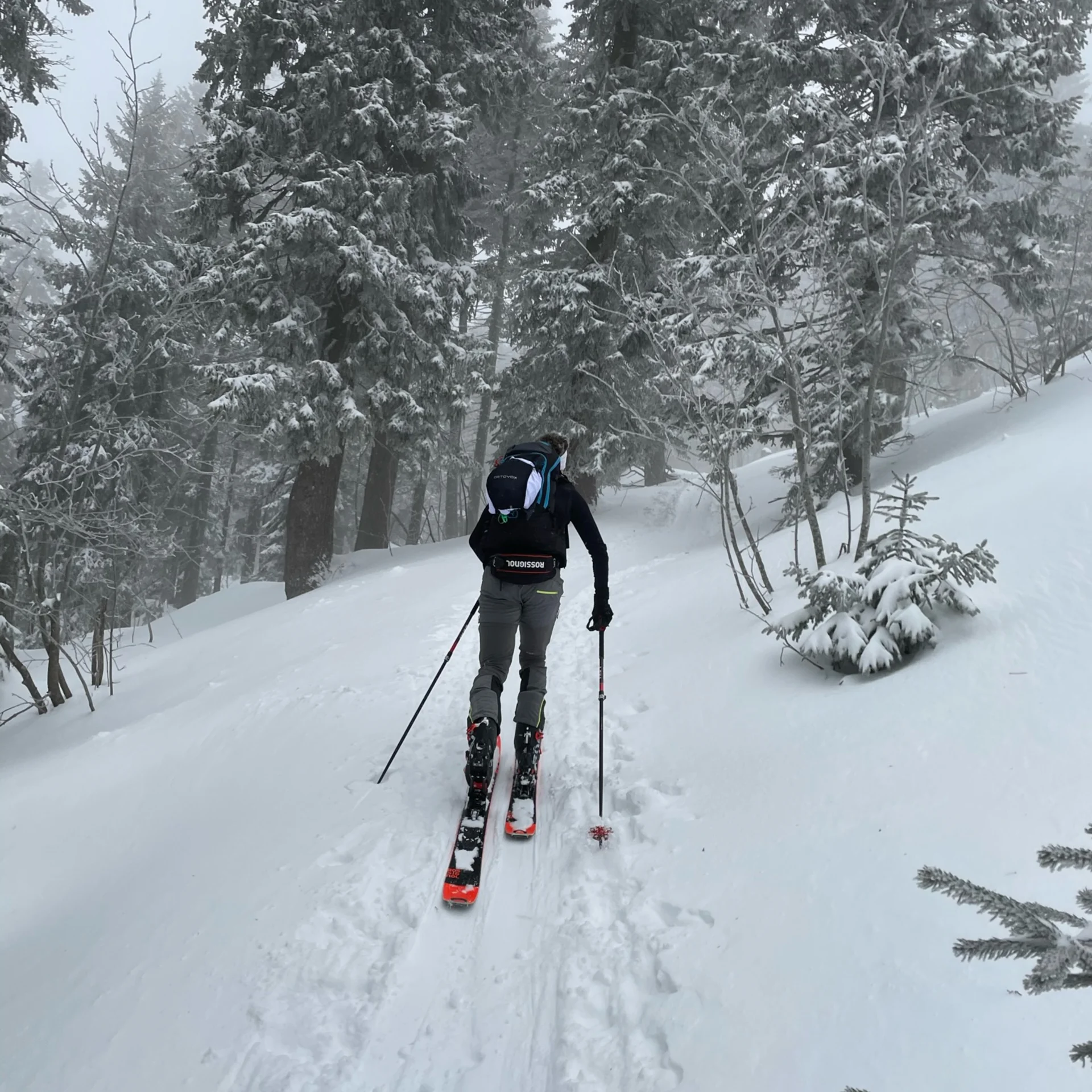 Person beim Skitourengehen im verschneiten Wald