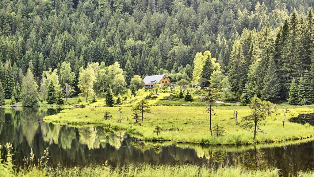 Haus am Waldrand mit See und grüner Wiese im Vordergrund