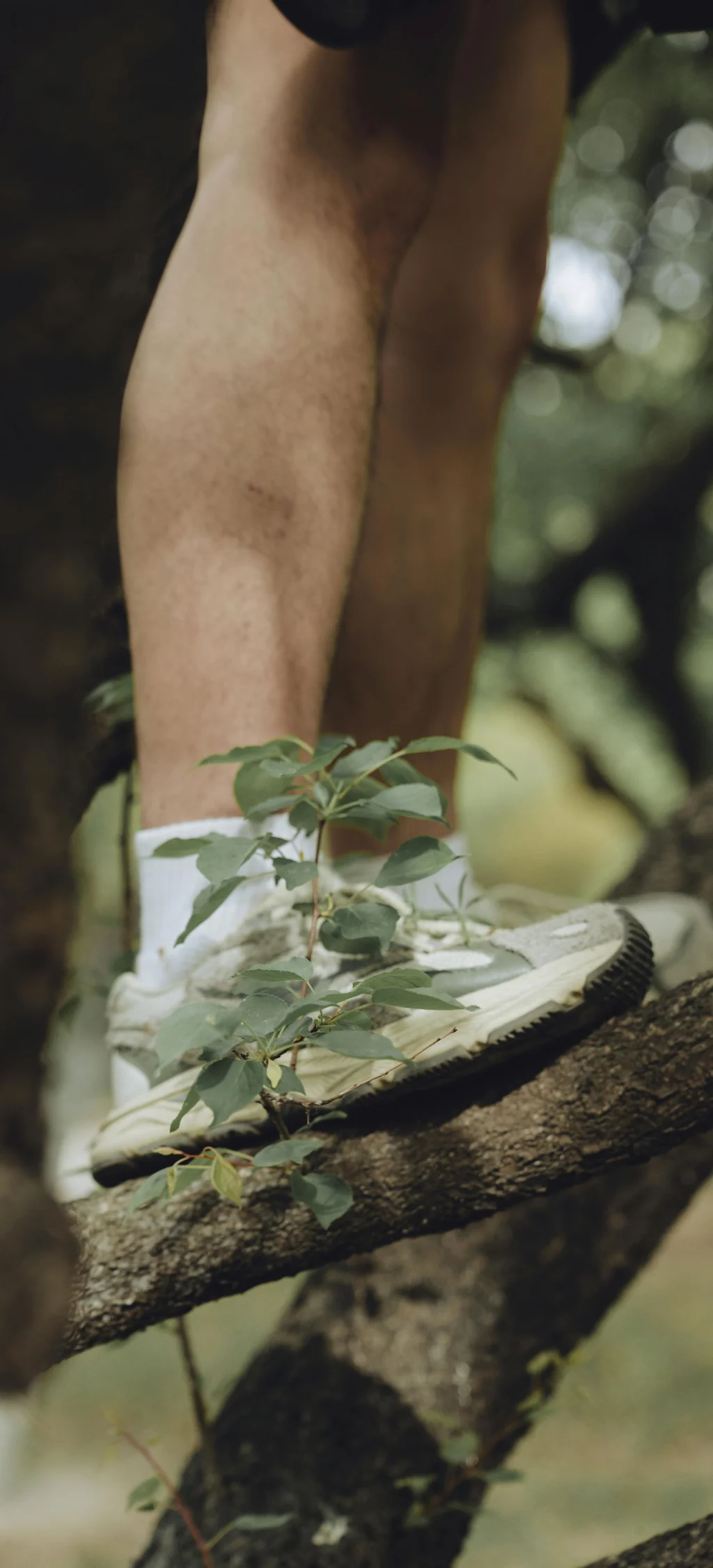 Beine mit Sportschuhen auf einem Baumstamm im Wald