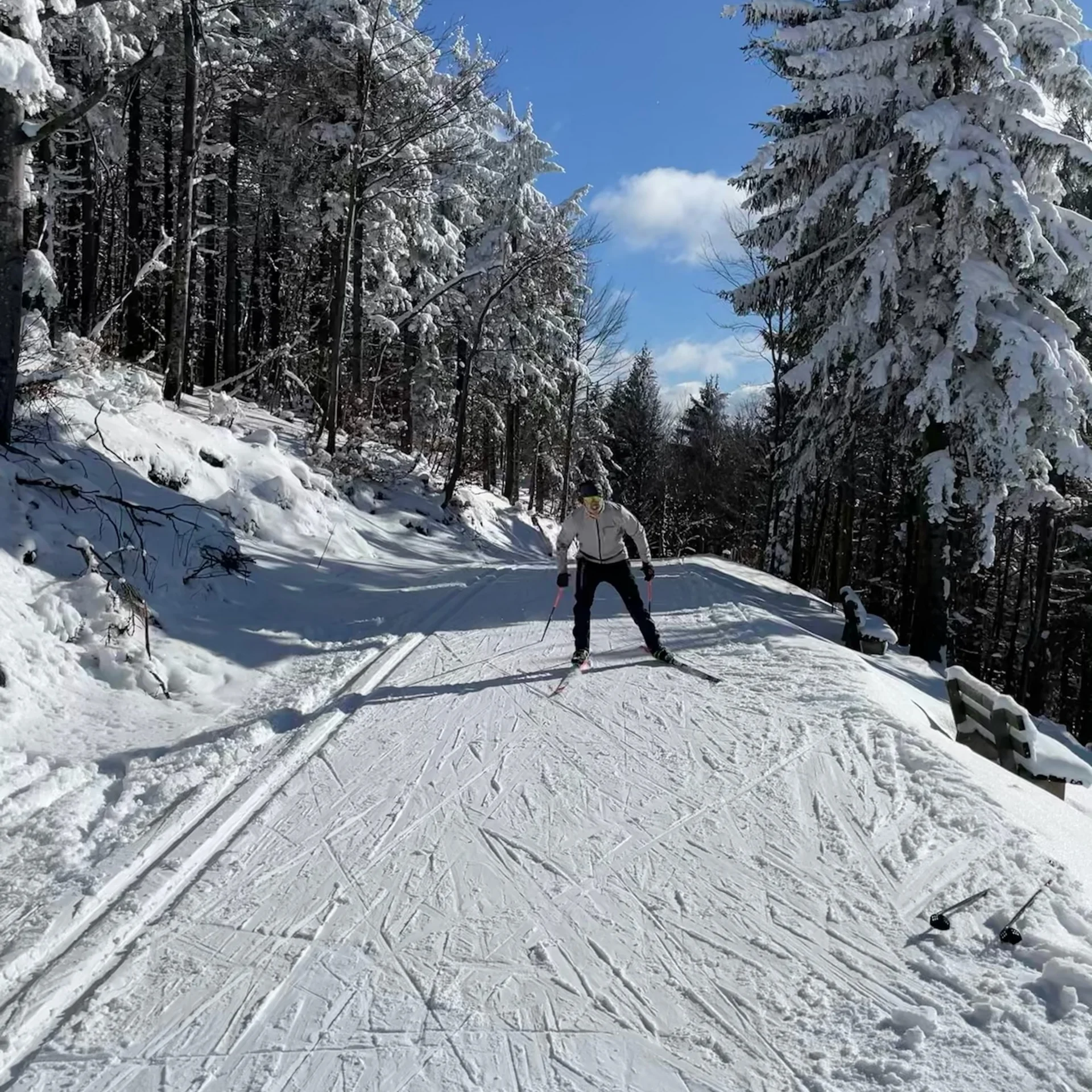 Langläufer auf verschneiter Waldloipe bei sonnigem Winterwetter