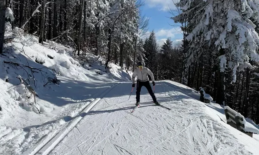 Langläufer auf verschneiter Waldloipe bei sonnigem Winterwetter