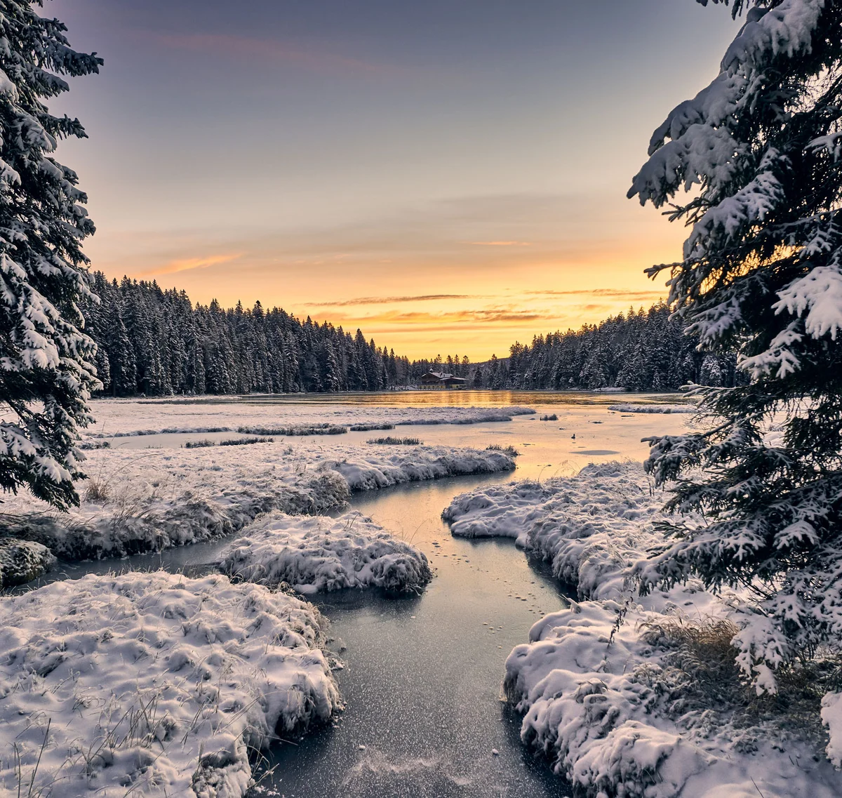 Verschneite Tannenbäume und ein zugefrorener Fluss bei Sonnenuntergang
