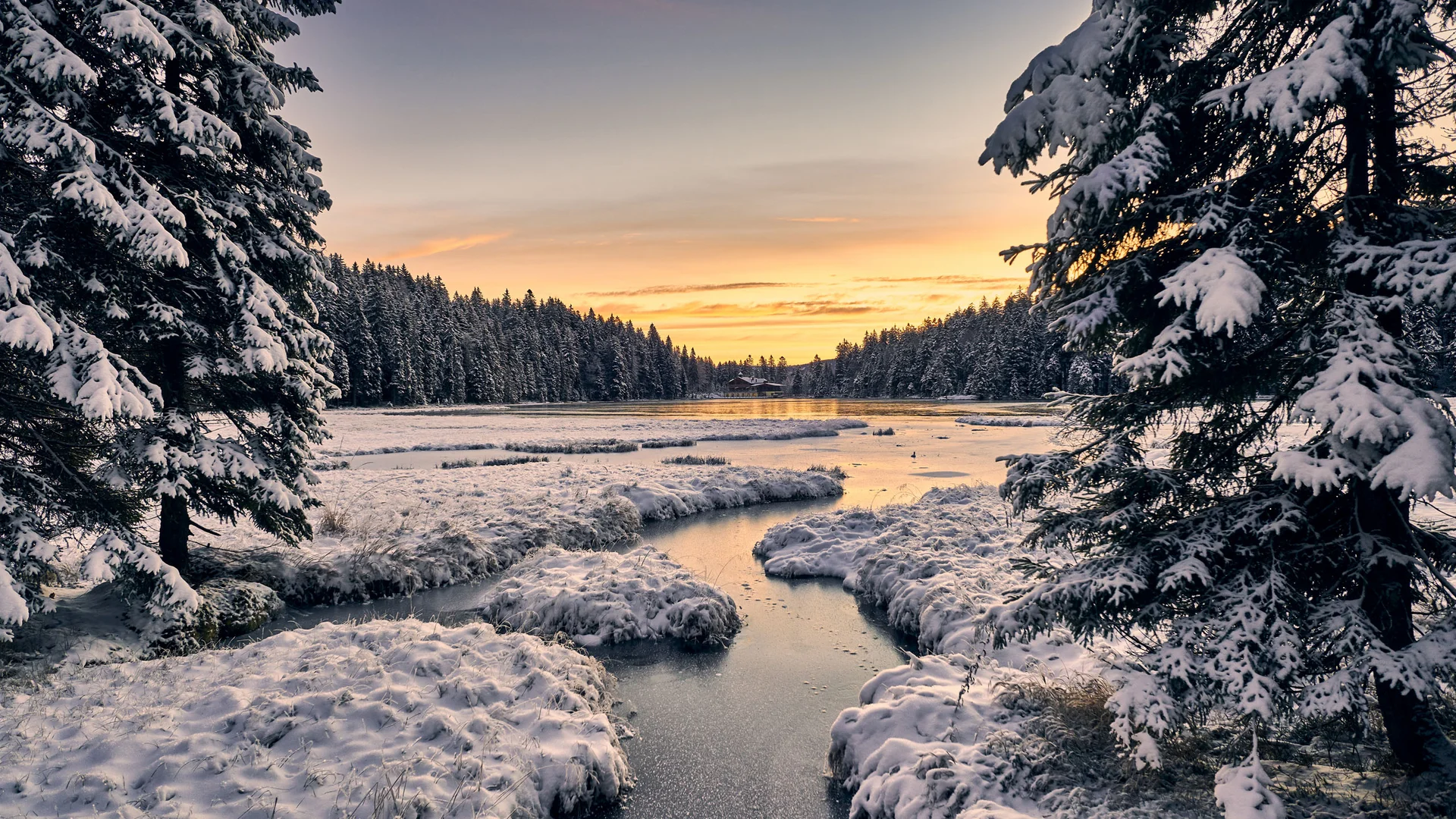 Cubea | Urlaub³ im Bayerischen Wald Verschneite Tannenbäume und ein zugefrorener Fluss bei Sonnenuntergang