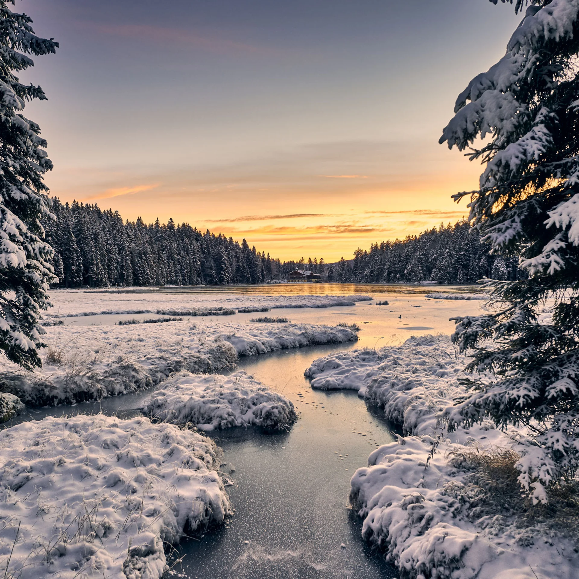 Verschneite Tannenbäume und ein zugefrorener Fluss bei Sonnenuntergang