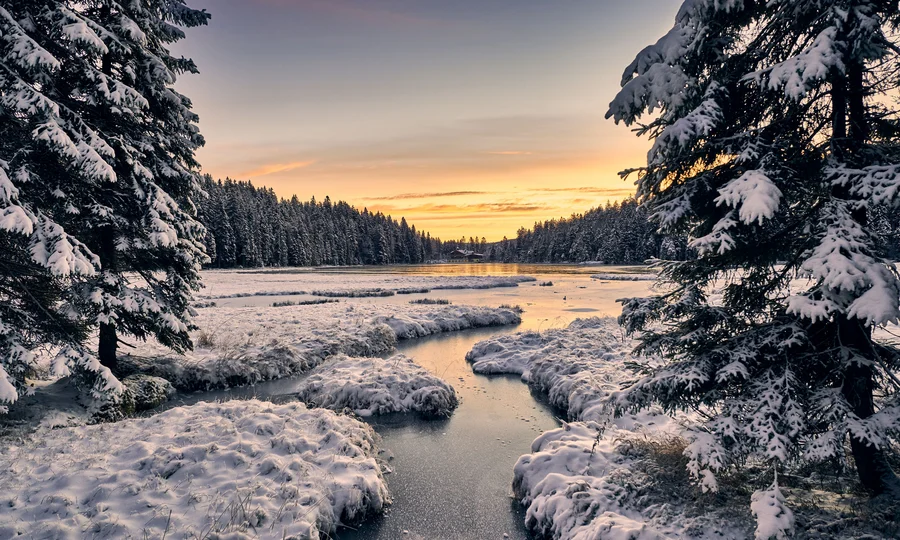 Verschneite Tannenbäume und ein zugefrorener Fluss bei Sonnenuntergang
